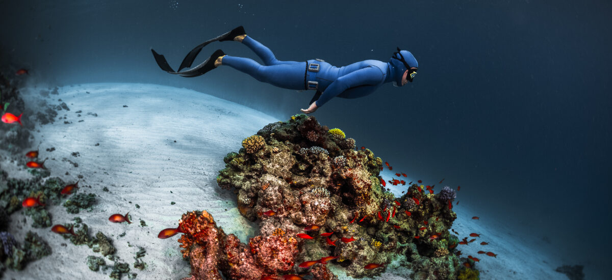 Menikmati Keindahan Bawah Laut Indonesia dengan Freediving