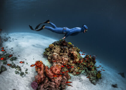 Menikmati Keindahan Bawah Laut Indonesia dengan Freediving